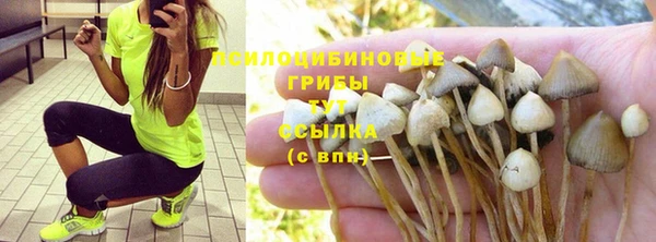 винт Аркадак