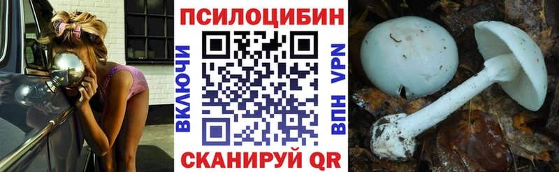 купить   Нытва  Псилоцибиновые грибы мухоморы 